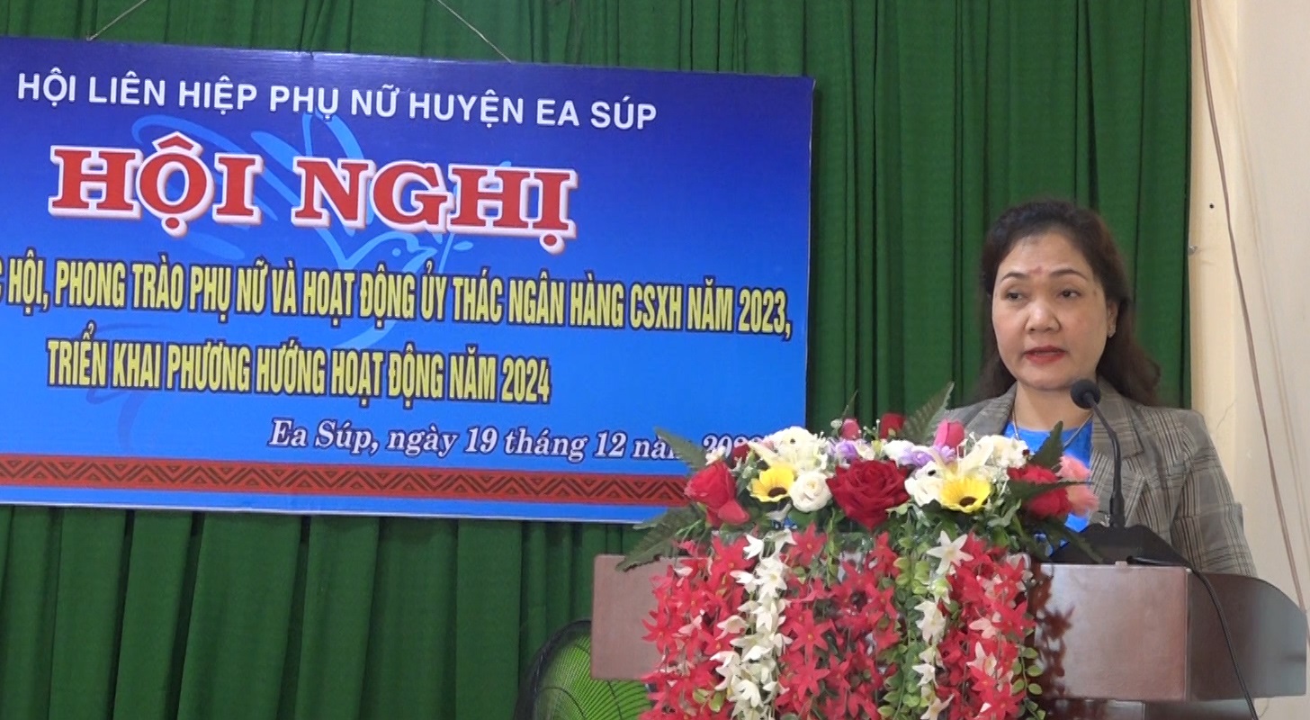 Bà Tô Thị Tâm - Chủ tich Hội LHPN tỉnh phát biểu